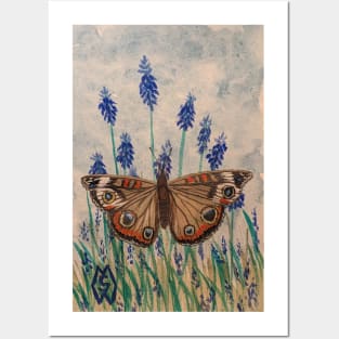 Buckeye butterfly in the grape hyacinth flowers Posters and Art